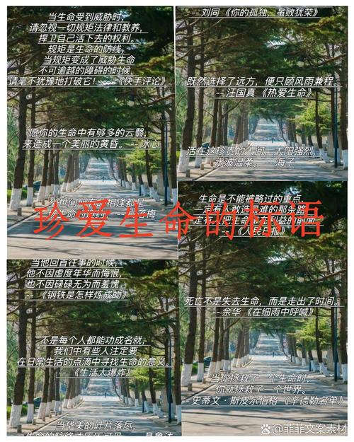 生命安全的名言警句-图3