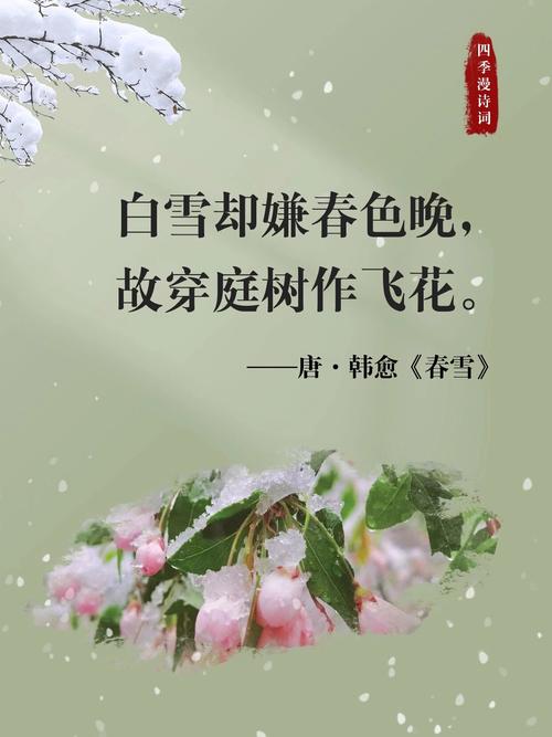 雪景诗中藏着怎样的现代灵魂？-图1