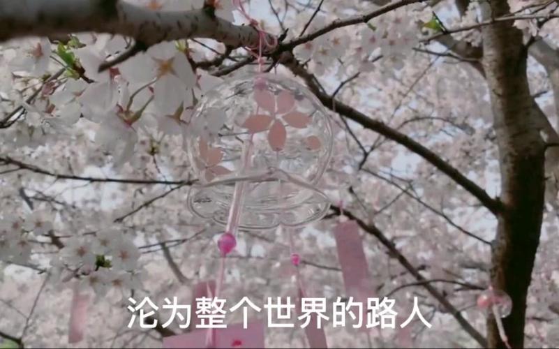 西贝 诗歌，西贝诗歌路人-图2