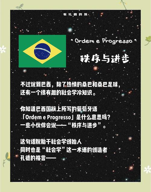 巴西的名言，巴西名言名句-图3