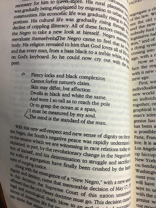 马丁路德金的名言，马丁路德金的名言英文-图1