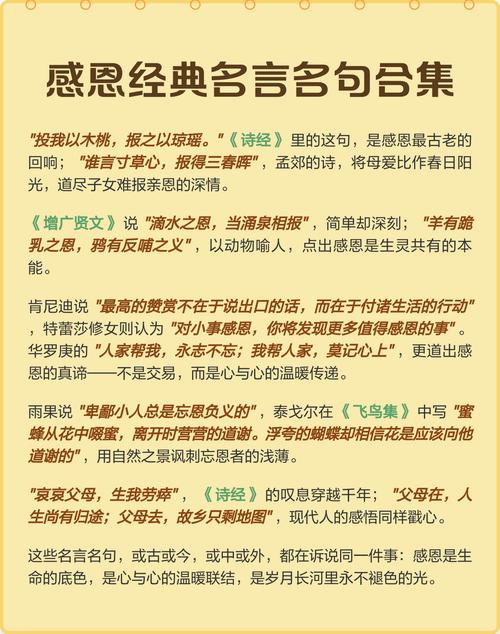 有关感恩的名言名句，有关感恩的名言名句大全-图3