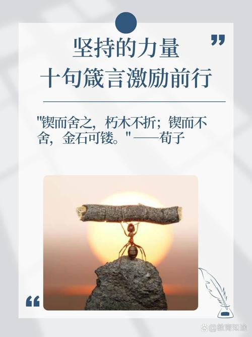 成功 坚持 名言，成功坚持名言名句-图1