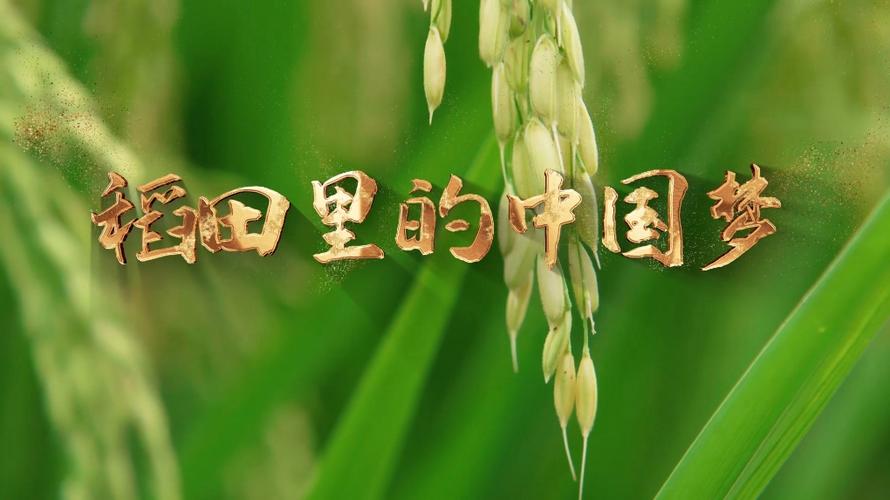 诗歌朗诵中国梦背景音乐-图1