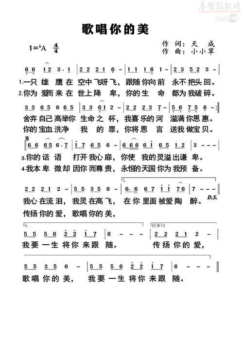 诗歌可是你没有，诗歌可是你没有爱过歌词-图3