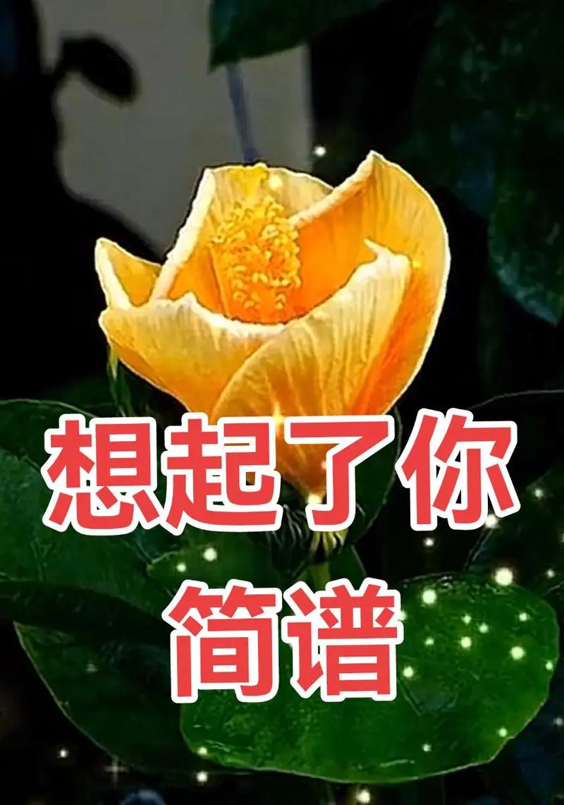 赞美诗歌想起你-图2 赞美诗歌想起你-图2