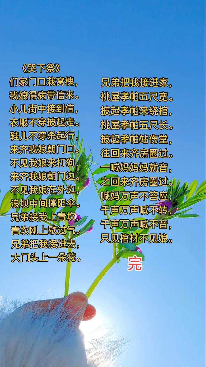 诗歌 自己，诗歌 自己哭着来到这个世界,在亲人的哭声里离开世界-图1