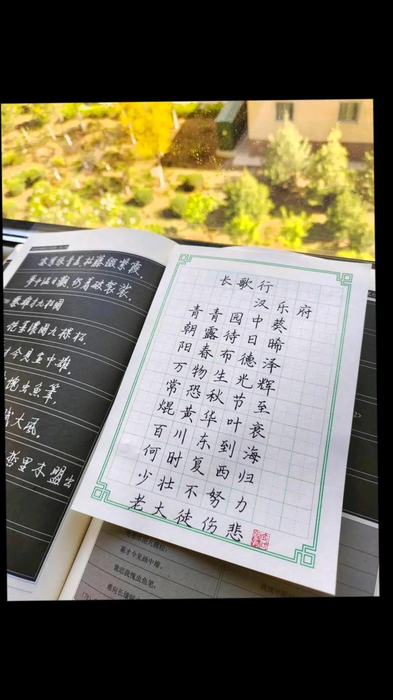 向上的诗歌-图3