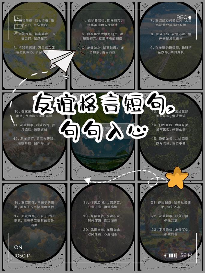 关于友谊的名人名言，关于友谊的名人名言有哪些-图1