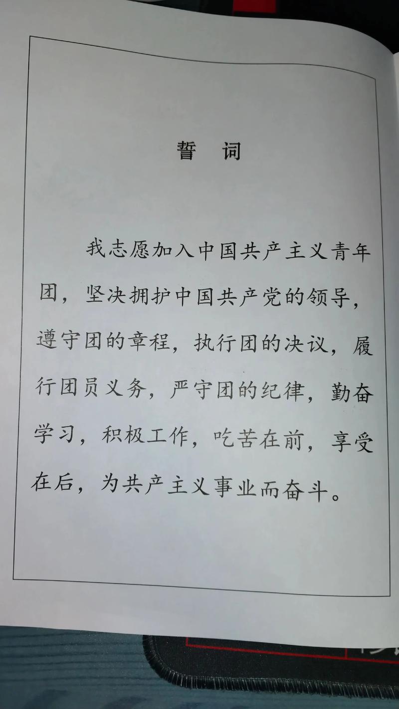 共青团名言,共青团名言经典语录-图1 共青团名言,共青团名言经典语录-图1