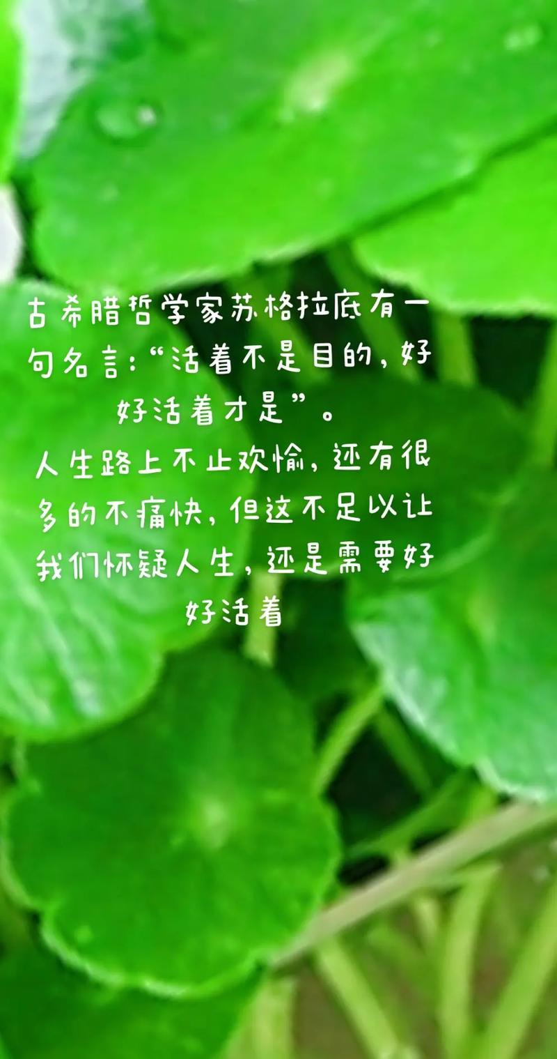 希腊名言警句藏着怎样的智慧？-图3