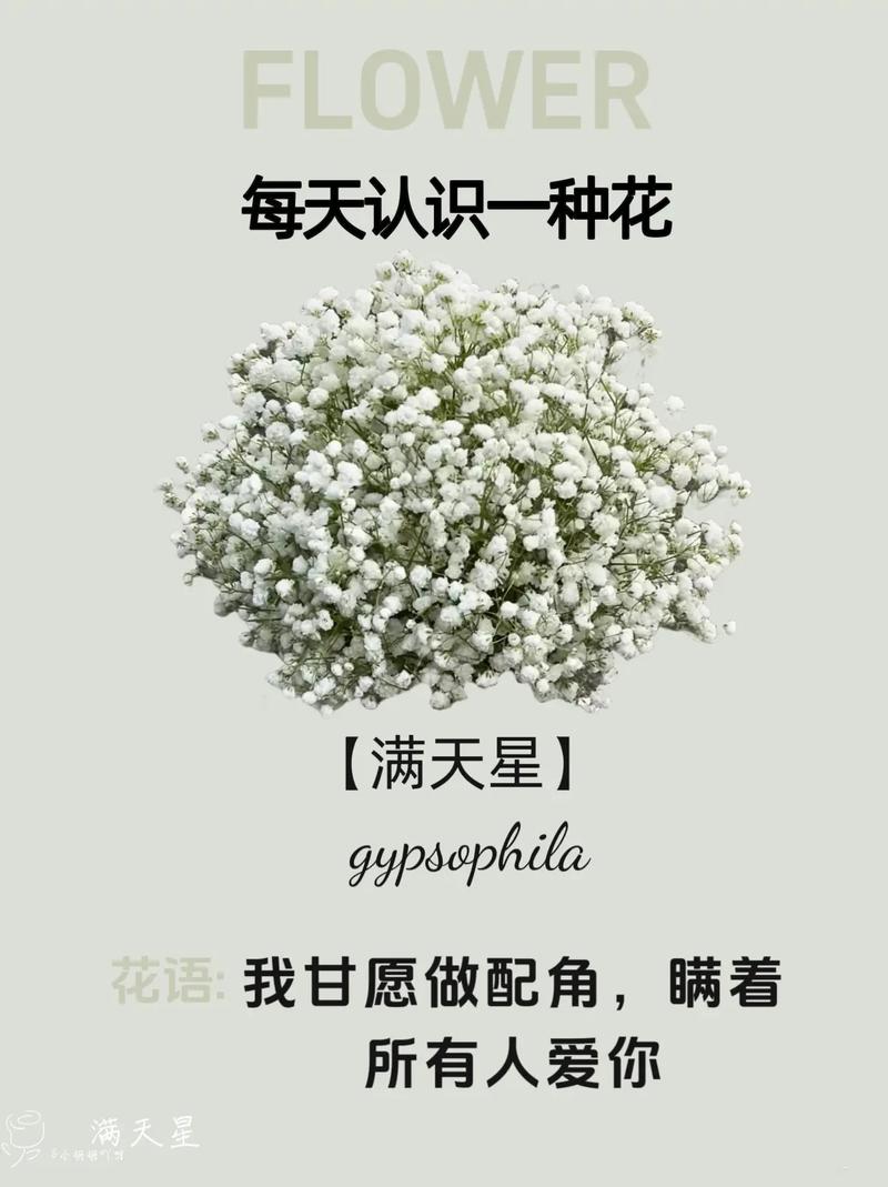 满天星的诗歌-图3