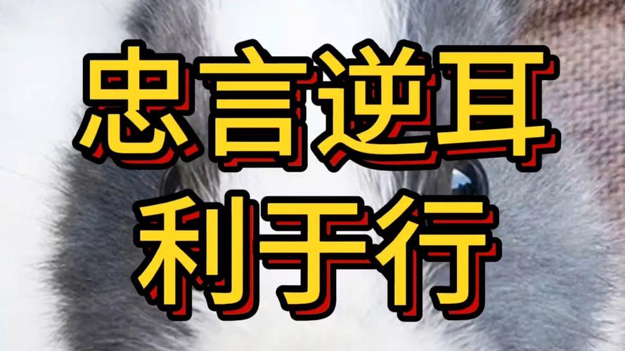 关于忠言逆耳的名言-图2