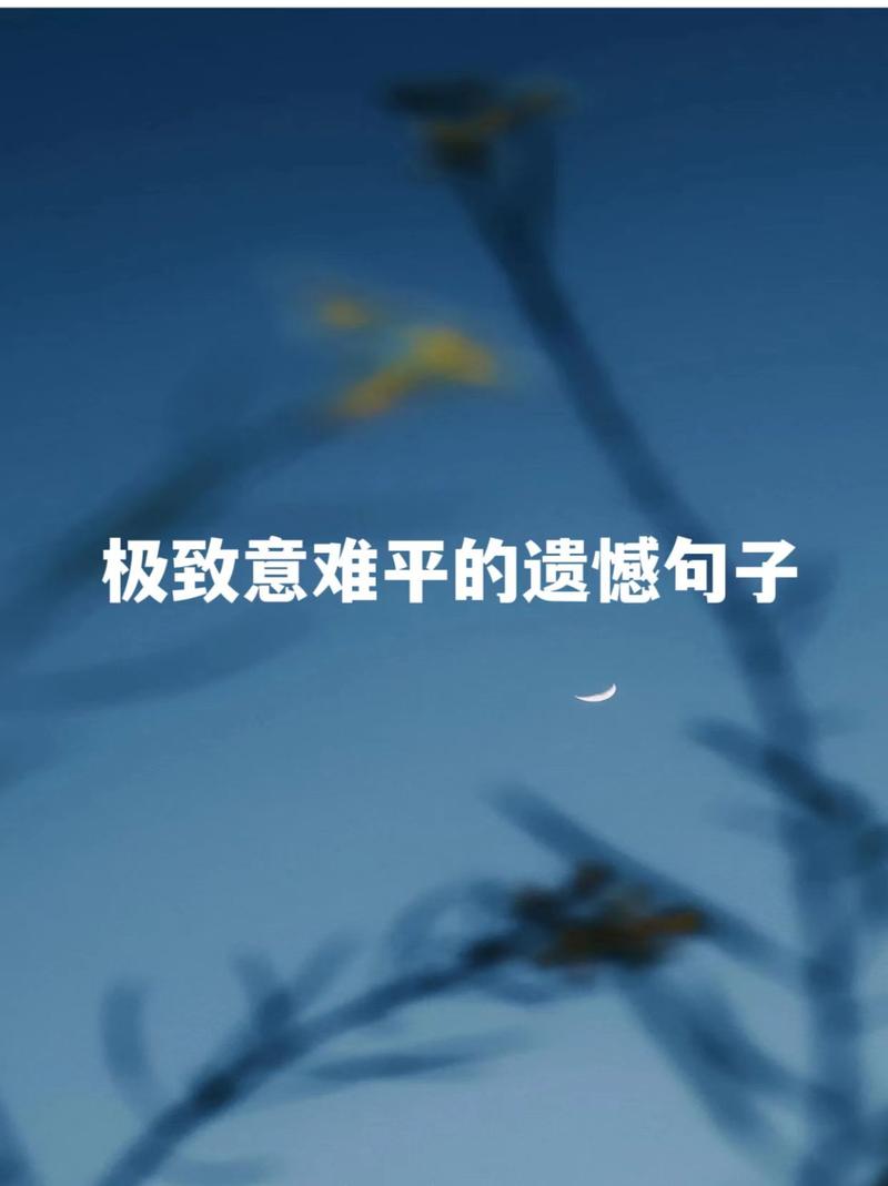 关于遗憾的名言-图2