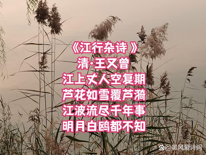 江行诗中何为动人意境？-图3