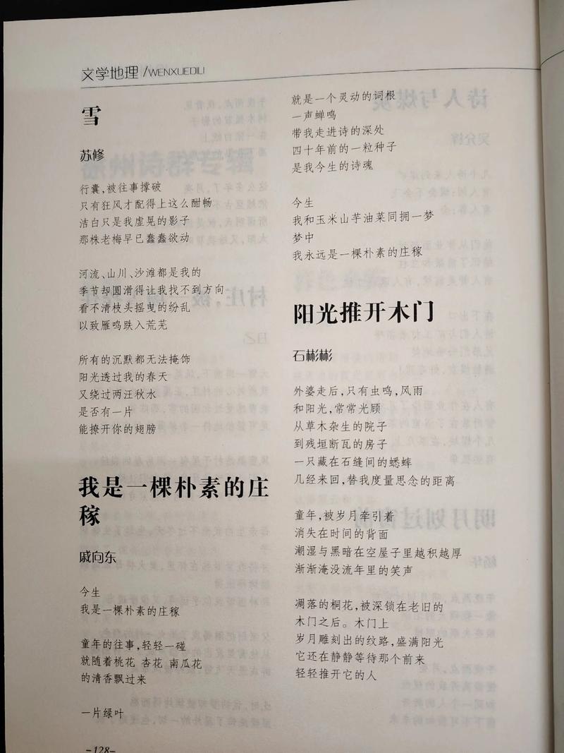 辽宁诗歌里藏着怎样的山河?-图1 辽宁诗歌里藏着怎样的山河?-图1