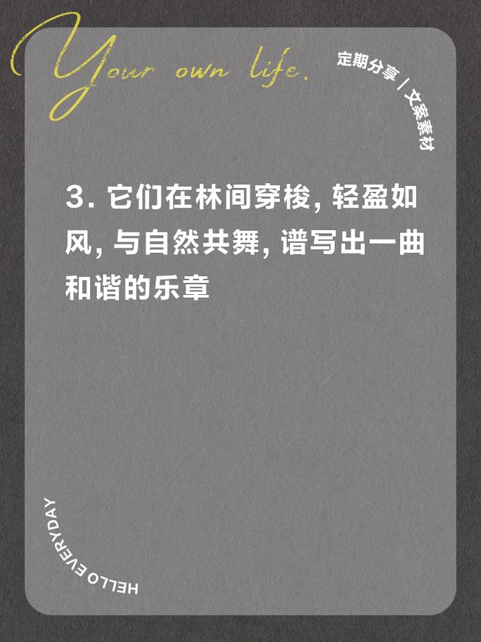 动物名言藏着哪些生命智慧？-图2