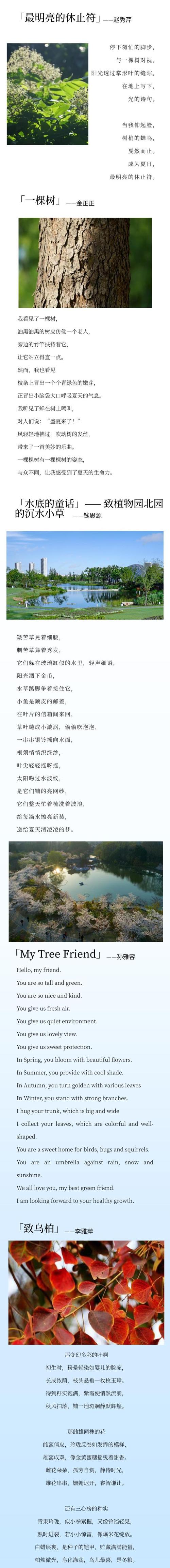 植树诗歌，绿意几行？-图3