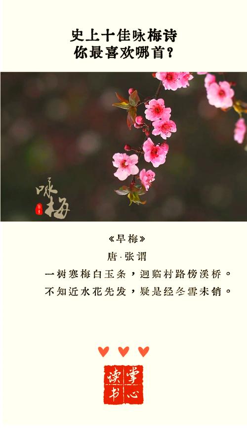咏梅诗歌有何千古魅力？-图2