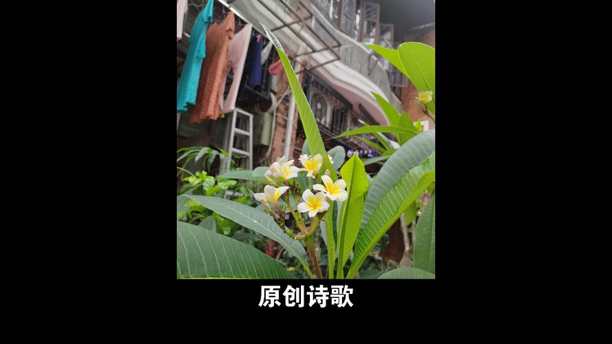 晚钟为谁而鸣响？-图2