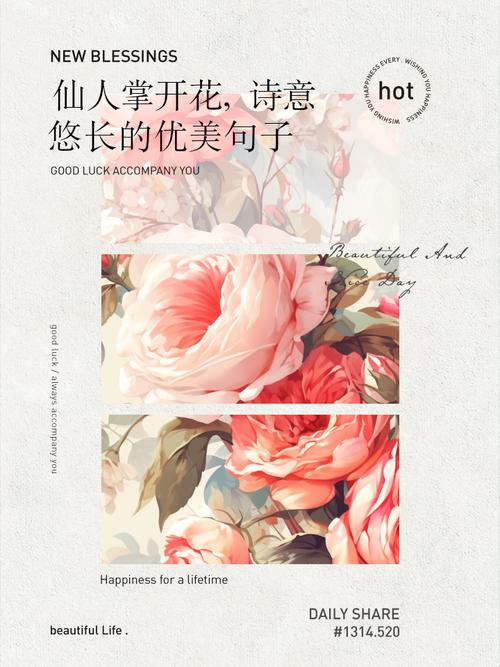 仙人球诗歌有何诗意？-图3