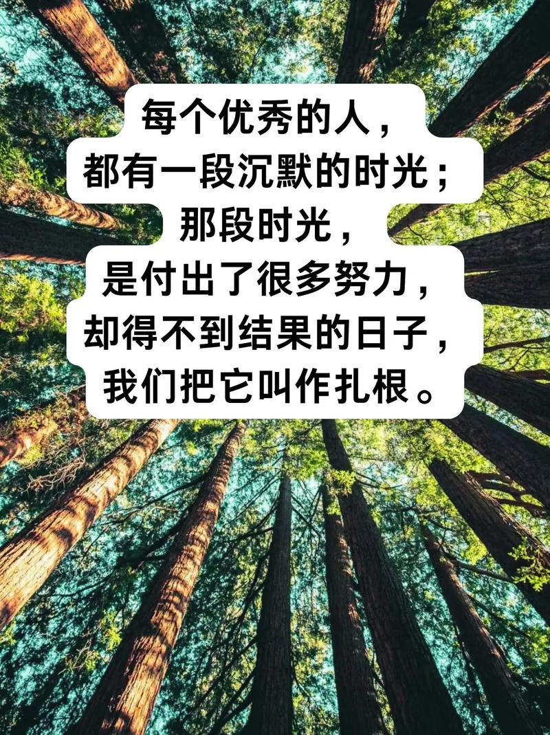 扎根基层的名言-图3