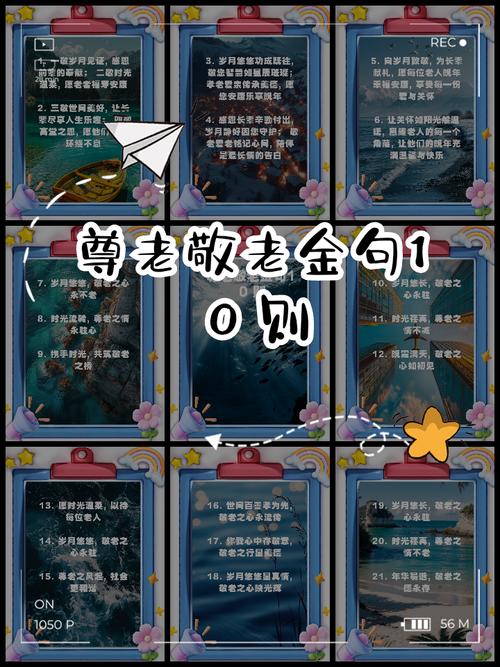 关爱老人名言，如何温暖人心？-图2