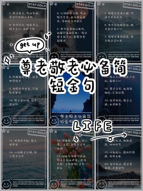 关爱老人名言，如何温暖人心？-图3