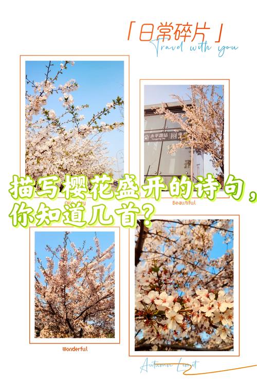樱诗歌-图2 樱诗歌-图2