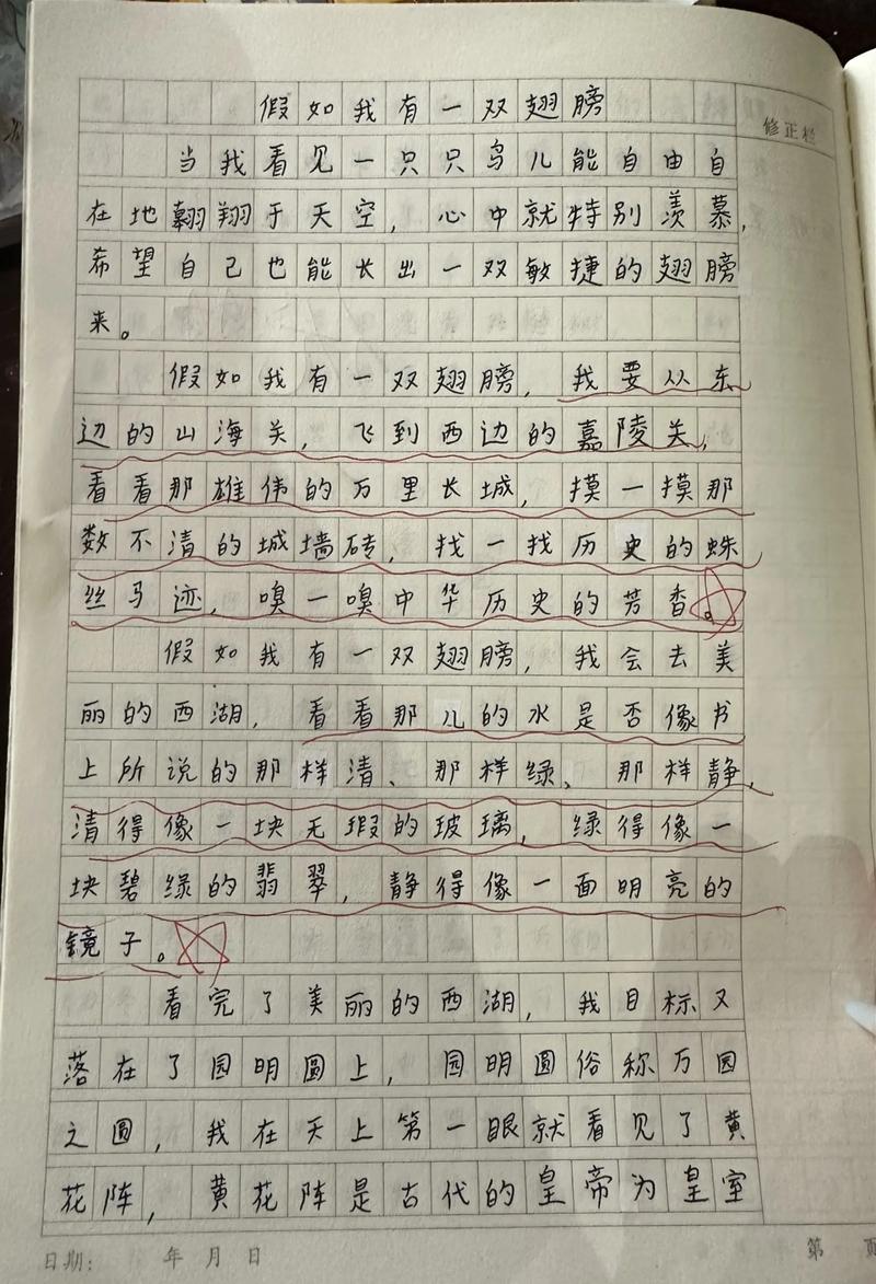 翅膀，能带我飞向何方？-图3