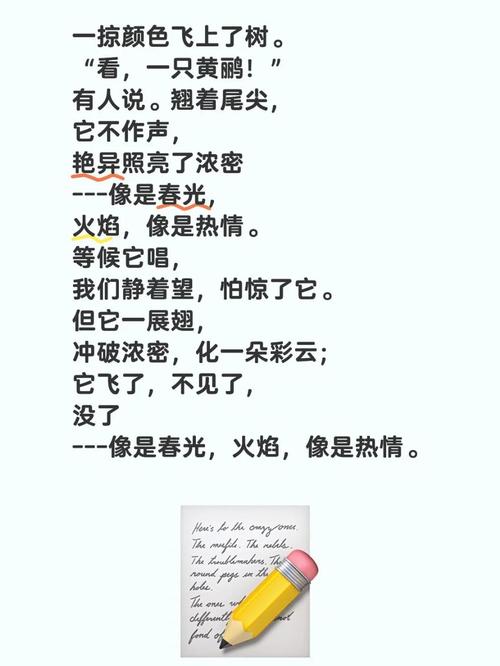 徐诗魅力何在?-图2 徐诗魅力何在?-图2