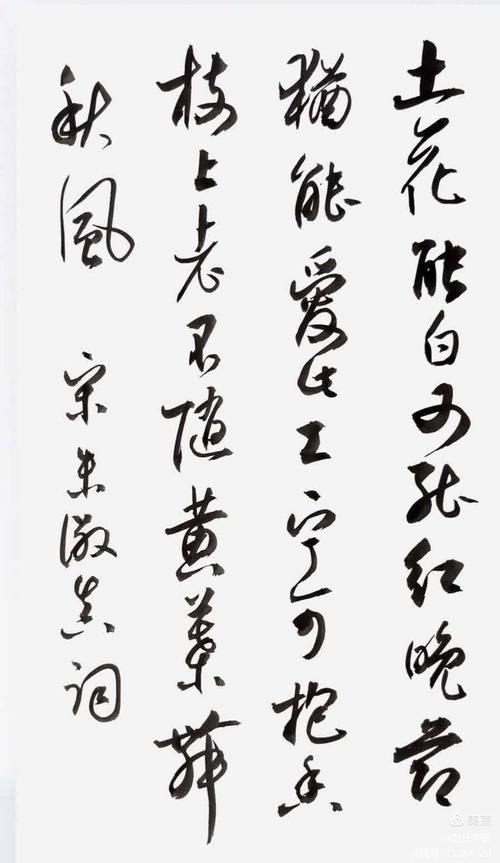 黄花诗歌，何意蕴藏其中？-图1