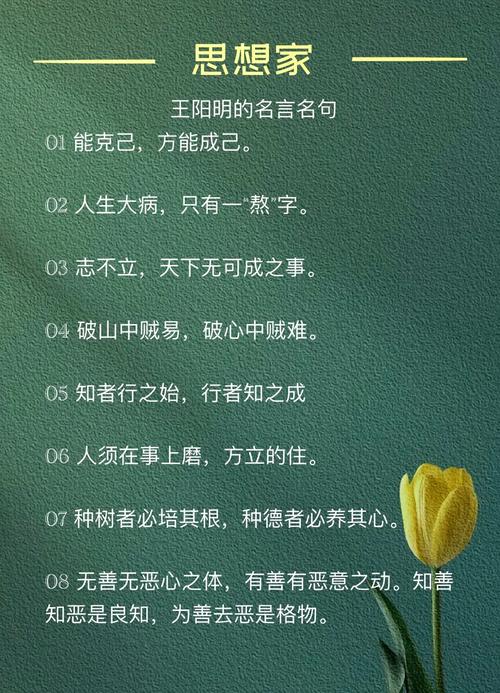 王炽名言蕴含何人生智慧？-图2