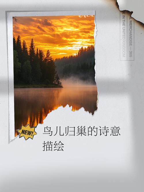 诗歌鸟儿,如何歌唱?-图2 诗歌鸟儿,如何歌唱?-图2