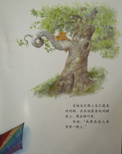 愿望树诗歌藏着什么心愿？-图3