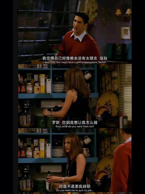 老友记经典名言有哪些？-图2