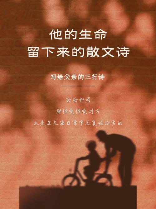 父爱无声诗何解？-图3