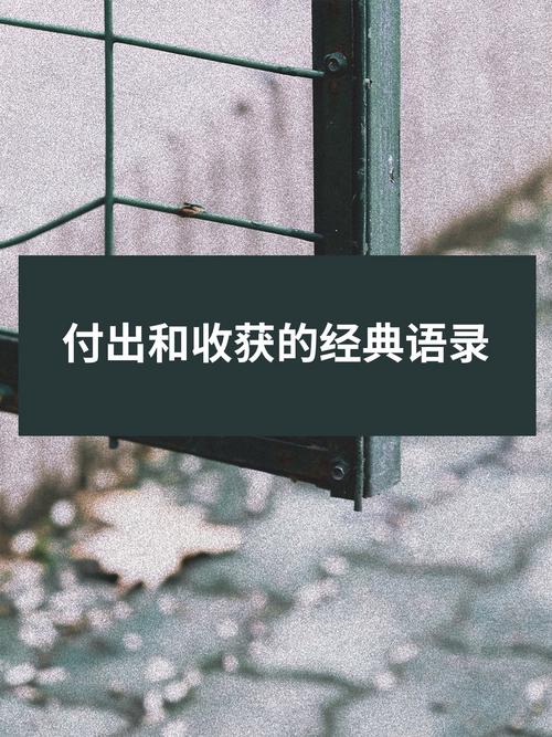 付出的名言警句-图2