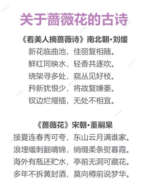 花语藏诗心？-图1