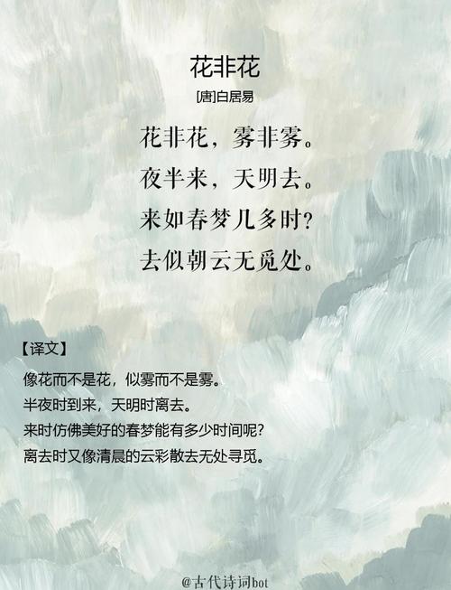 花语藏诗心？-图3