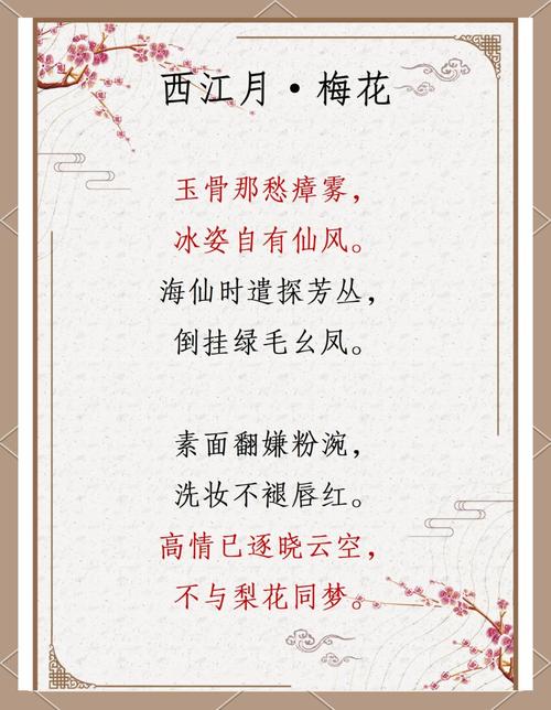 古代诗歌阅读 梅-图1