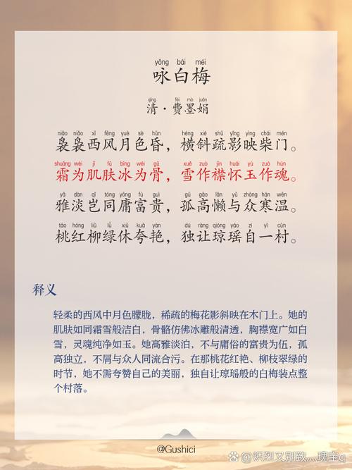 古代诗歌阅读 梅-图2