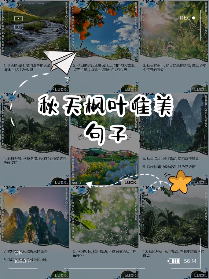 风叶诗歌，藏着怎样的诗心？-图2