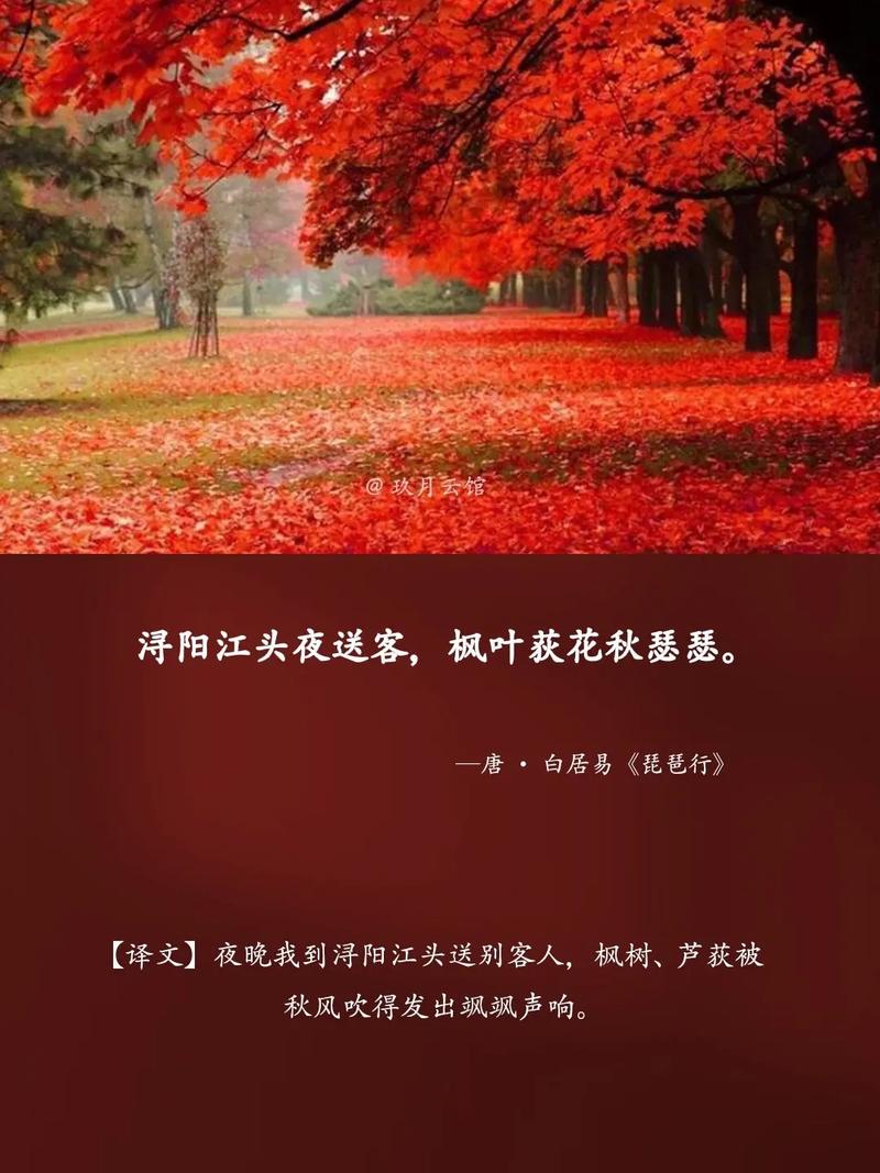 风叶诗歌，藏着怎样的诗心？-图3