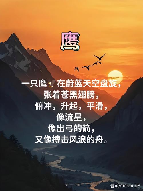 老鹰诗歌，藏着怎样的天空密码？-图1