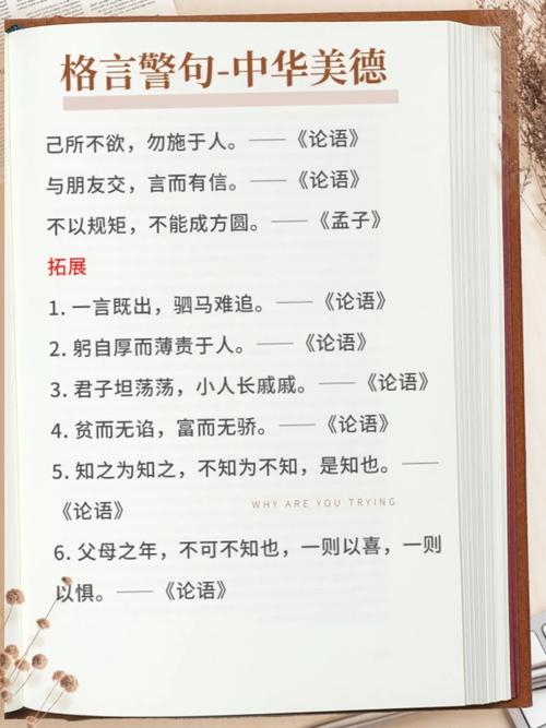 关于美德的名言-图2 关于美德的名言-图2