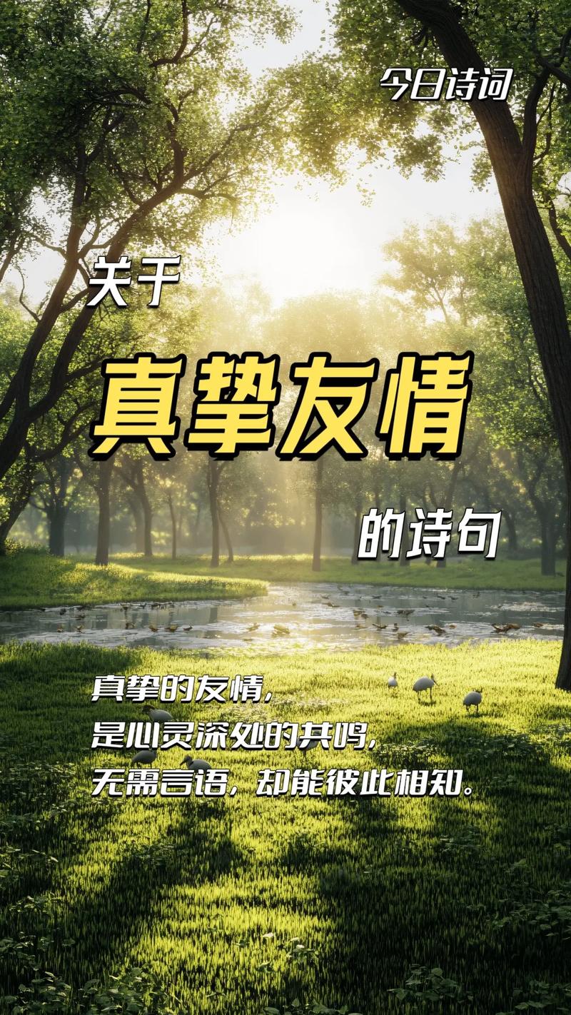 朋友感情的诗歌-图2