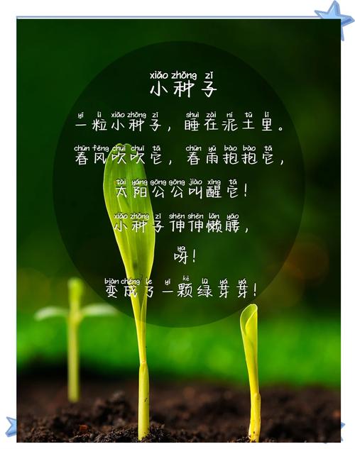 种子如何开出诗歌的花？-图1