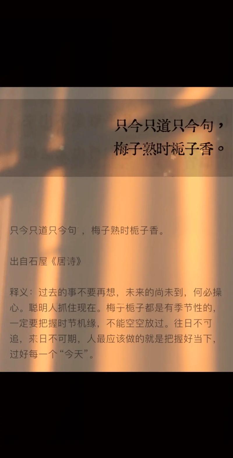 梅子涵名言-图2