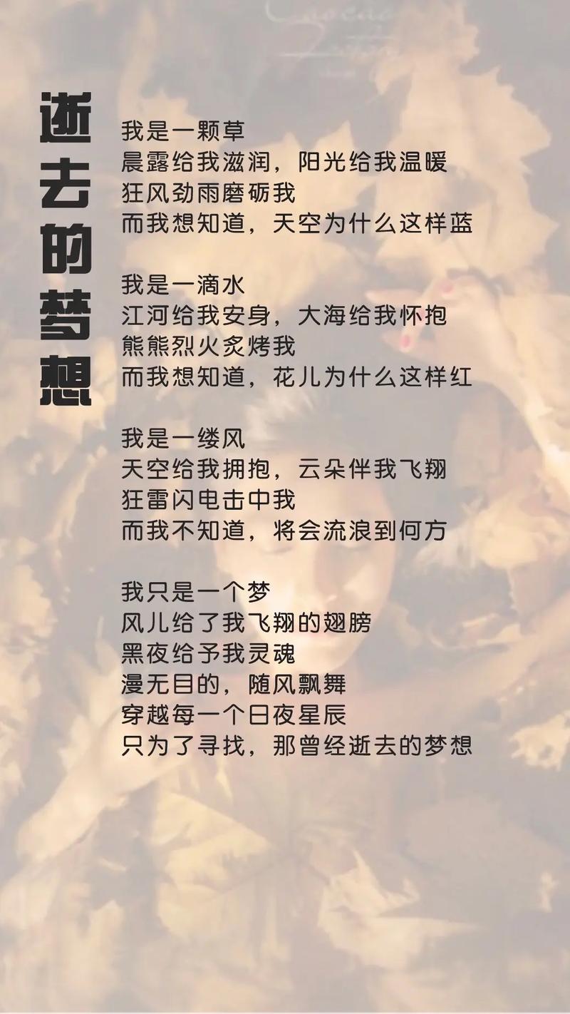 青春的梦想 诗歌-图3